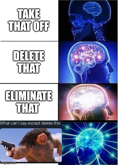 What can i say expect delete this | TAKE THAT OFF; DELETE THAT; ELIMINATE THAT | image tagged in memes,expanding brain,what can i say expect delete this | made w/ Imgflip meme maker