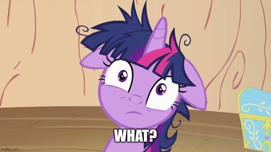 Messy Twilight Sparkle | WHAT? | image tagged in messy twilight sparkle | made w/ Imgflip meme maker