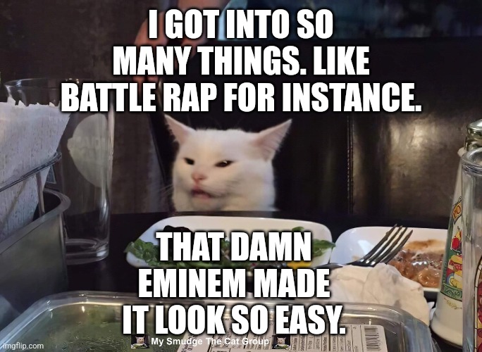 I GOT INTO SO MANY THINGS. LIKE BATTLE RAP FOR INSTANCE. THAT DAMN EMINEM MADE IT LOOK SO EASY. | image tagged in smudge the cat,woman yelling at cat | made w/ Imgflip meme maker