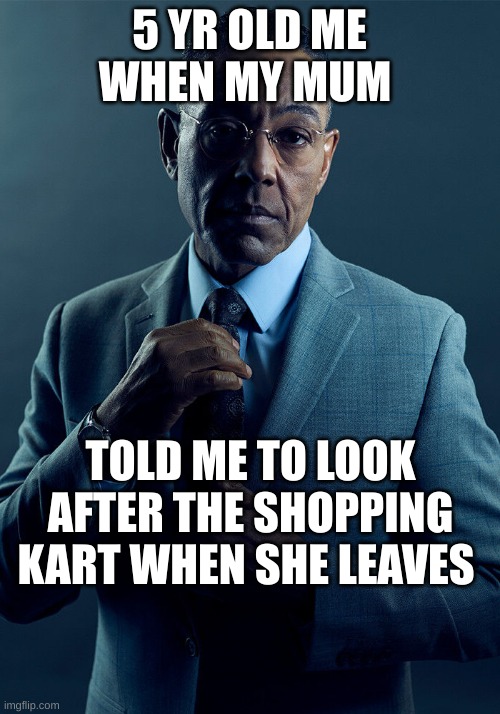 Gus Fring we are not the same | 5 YR OLD ME WHEN MY MUM; TOLD ME TO LOOK AFTER THE SHOPPING KART WHEN SHE LEAVES | image tagged in gus fring we are not the same | made w/ Imgflip meme maker