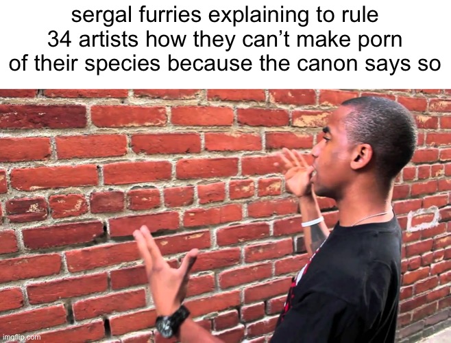 most people won’t get this but worth a shot | sergal furries explaining to rule 34 artists how they can’t make porn of their species because the canon says so | image tagged in guy explaining to brick wall | made w/ Imgflip meme maker