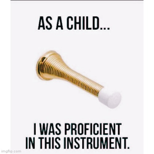 Old fashioned musical instrument | image tagged in musical,door,fun | made w/ Imgflip meme maker