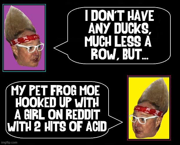 Talking to the Voices | I DON'T HAVE
ANY DUCKS,
MUCH LESS A 
ROW, BUT... MY PET FROG MOE 
HOOKED UP WITH
A GIRL ON REDDIT
WITH 2 HITS OF ACID | image tagged in vince vance,ducks in a row,memes,reddit,acid,frog | made w/ Imgflip meme maker