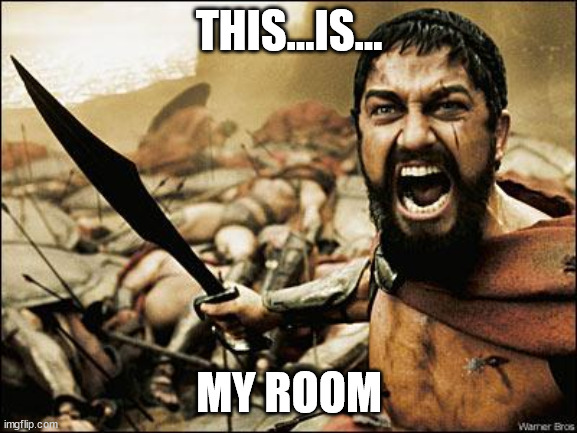 room | THIS...IS... MY ROOM | image tagged in spartan leonidas | made w/ Imgflip meme maker