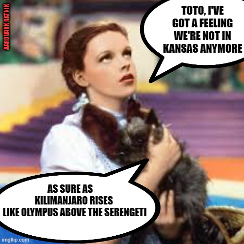 Kansas Toto | TOTO, I'VE GOT A FEELING WE'RE NOT IN KANSAS ANYMORE; AARDVARK RATNIK; AS SURE AS      KILIMANJARO RISES 
LIKE OLYMPUS ABOVE THE SERENGETI | image tagged in wizard of oz,rock and roll,funny memes,magic,tornado | made w/ Imgflip meme maker