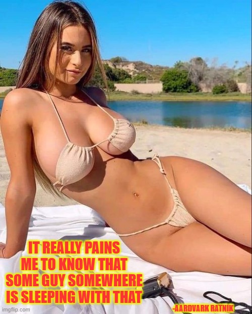 The Pain of Lust | IT REALLY PAINS ME TO KNOW THAT SOME GUY SOMEWHERE IS SLEEPING WITH THAT; -AARDVARK RATNIK | image tagged in sexy women,brunette,bikini girls,love,summer vacation | made w/ Imgflip meme maker