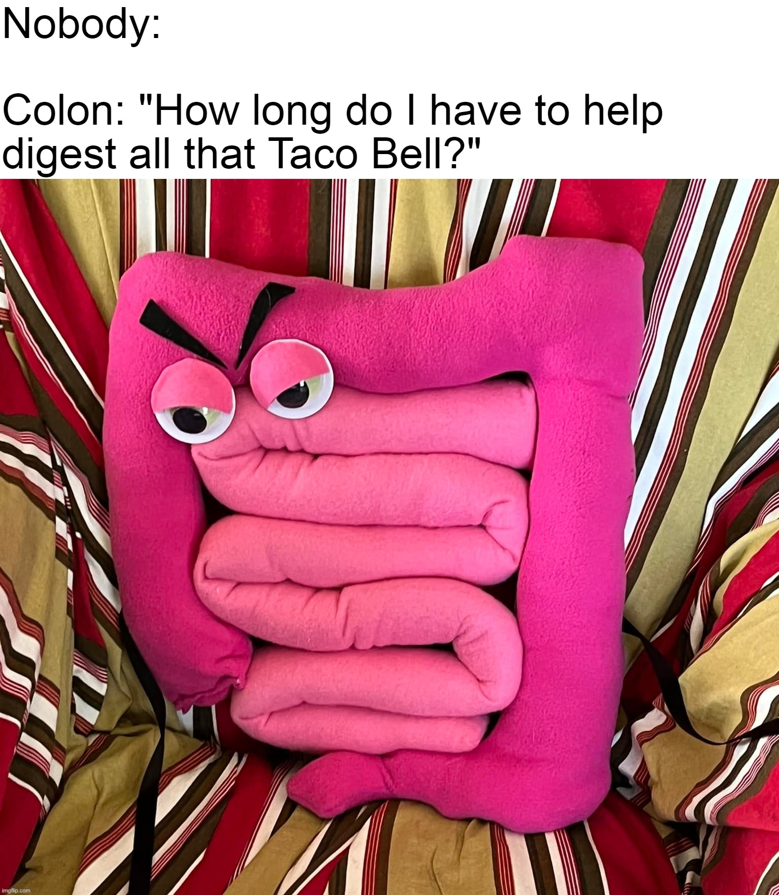 Nobody:
 
Colon: "How long do I have to help 
digest all that Taco Bell?" | image tagged in meme,memes,humor | made w/ Imgflip meme maker