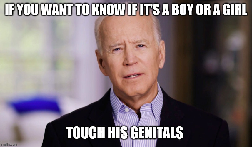 Joe Biden 2020 | IF YOU WANT TO KNOW IF IT'S A BOY OR A GIRL TOUCH HIS GENITALS | image tagged in joe biden 2020 | made w/ Imgflip meme maker