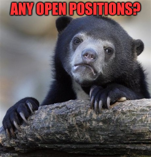 IncognitoGuy reply: we'd be more than happy to have you in our party. We will give you a position in government if we win again. |  ANY OPEN POSITIONS? | image tagged in memes,confession bear | made w/ Imgflip meme maker