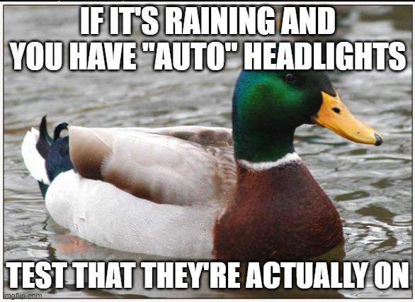 Actual Advice Mallard |  IF IT'S RAINING AND YOU HAVE "AUTO" HEADLIGHTS; TEST THAT THEY'RE ACTUALLY ON | image tagged in memes,actual advice mallard,AdviceAnimals | made w/ Imgflip meme maker