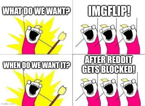 What Do We Want Meme | WHAT DO WE WANT? IMGFLIP! AFTER REDDIT GETS BLOCKED! WHEN DO WE WANT IT? | image tagged in memes,what do we want | made w/ Imgflip meme maker