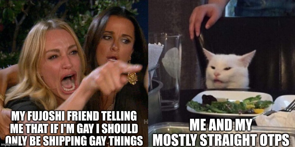 Woman yelling at cat | MY FUJOSHI FRIEND TELLING ME THAT IF I'M GAY I SHOULD ONLY BE SHIPPING GAY THINGS; ME AND MY MOSTLY STRAIGHT OTPS | image tagged in woman yelling at cat,otp,gay,lgbtq,fujoshi,shipping | made w/ Imgflip meme maker