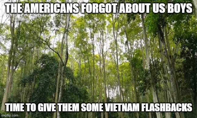 THE AMERICANS FORGOT ABOUT US BOYS TIME TO GIVE THEM SOME VIETNAM FLASHBACKS | made w/ Imgflip meme maker