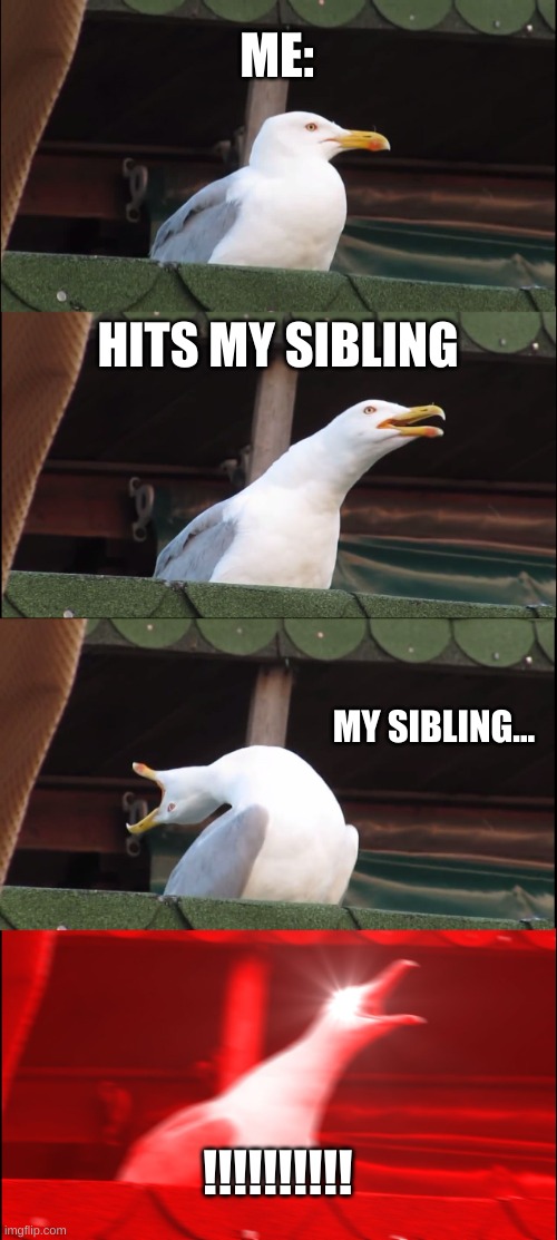 Inhaling Seagull | ME:; HITS MY SIBLING; MY SIBLING... !!!!!!!!!! | image tagged in memes,inhaling seagull | made w/ Imgflip meme maker