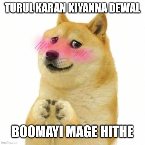 TURUL KARAN KIYANNA DEWAL; BOOMAYI MAGE HITHE | image tagged in funny memes | made w/ Imgflip meme maker