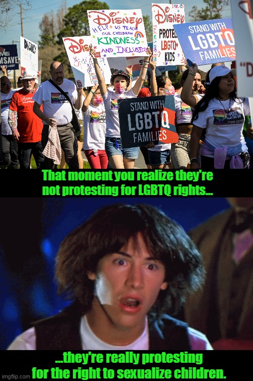 After you have actually read the Florida law... the reality unfolds who these protesters really are. | That moment you realize they're not protesting for LGBTQ rights... ...they're really protesting for the right to sexualize children. | image tagged in woah,liberals,democrats,left,pedophiles,disney | made w/ Imgflip meme maker