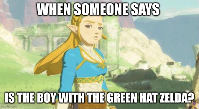 The legend of zelda. Is that boy Zelda? | WHEN SOMEONE SAYS; IS THE BOY WITH THE GREEN HAT ZELDA? | image tagged in judging zelda | made w/ Imgflip meme maker