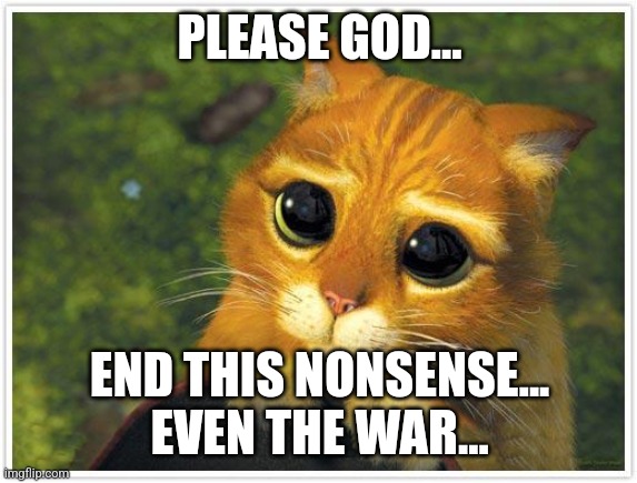 Shrek Cat Meme | PLEASE GOD... END THIS NONSENSE...
EVEN THE WAR... | image tagged in memes,shrek cat | made w/ Imgflip meme maker
