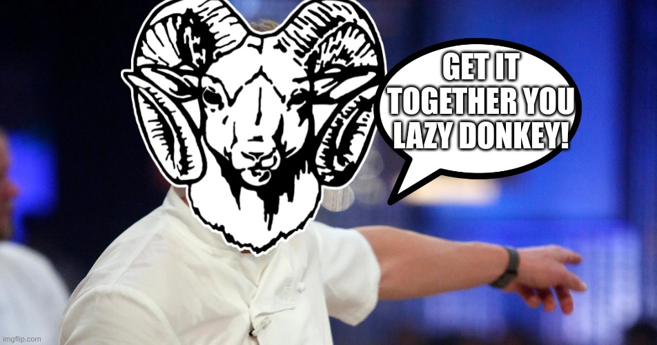 Gordan Ram Say | GET IT TOGETHER YOU LAZY DONKEY! | image tagged in angry chef gordon ramsay | made w/ Imgflip meme maker