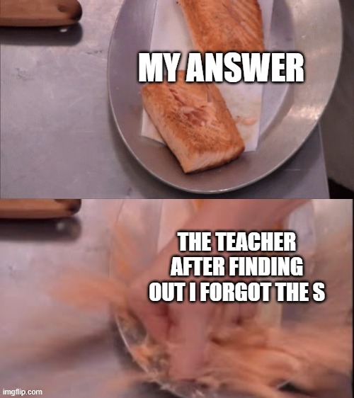 Sometime this happend to me | MY ANSWER; THE TEACHER AFTER FINDING OUT I FORGOT THE S | image tagged in gordon smashing salmon,memes,tests | made w/ Imgflip meme maker
