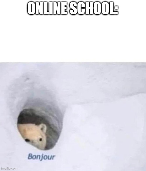 Bonjour | ONLINE SCHOOL: | image tagged in bonjour | made w/ Imgflip meme maker