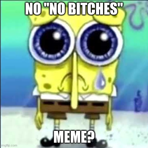A Meme Of A Meme | NO "NO BITCHES"; MEME? | image tagged in sad spongebob,no bitches | made w/ Imgflip meme maker