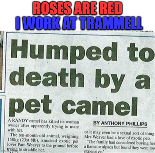 I WORK AT TRAMMELL; ROSES ARE RED | image tagged in funny,news,headlines,roses are red | made w/ Imgflip meme maker