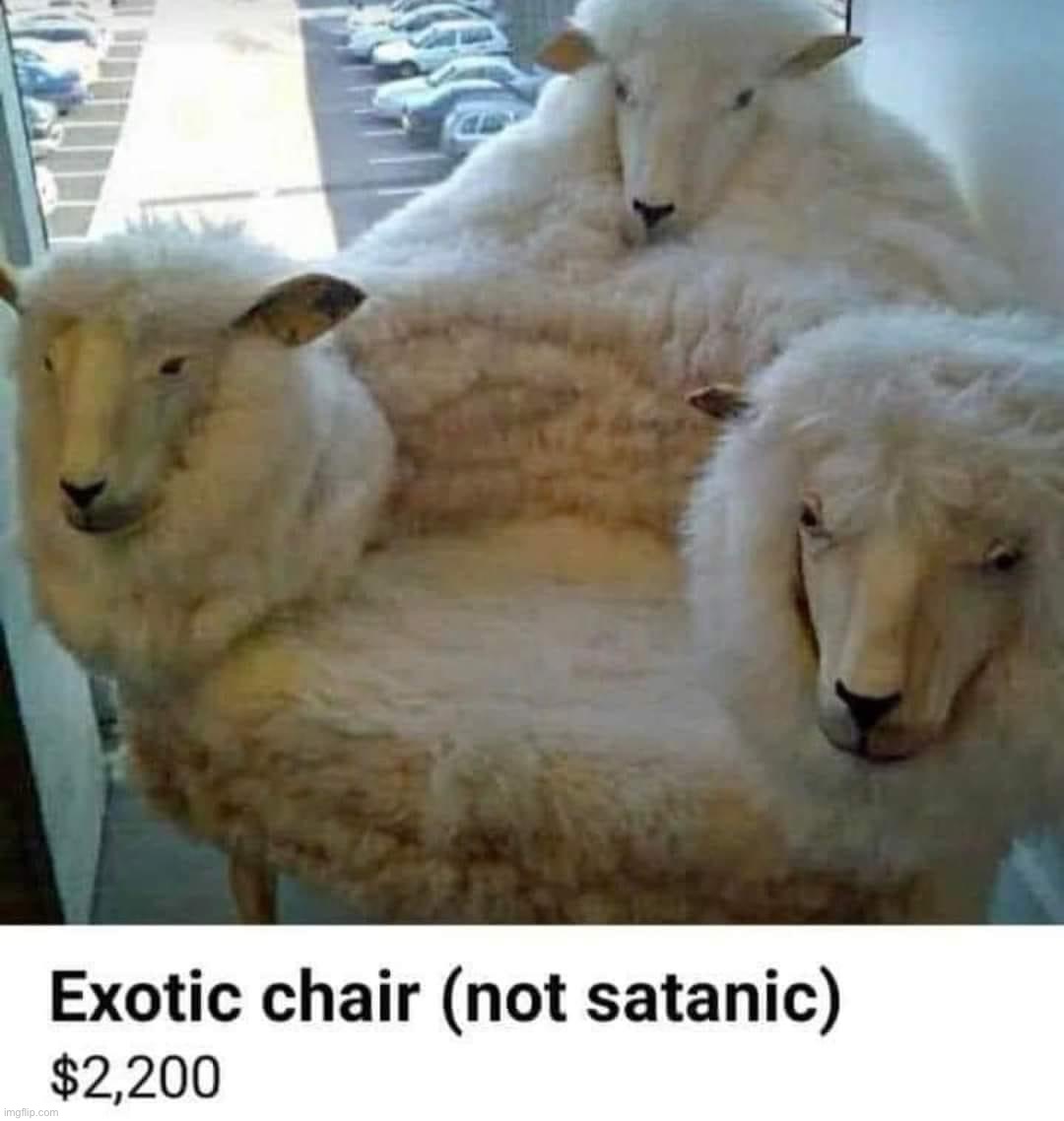 Exotic chair not satanic | image tagged in exotic chair not satanic | made w/ Imgflip meme maker