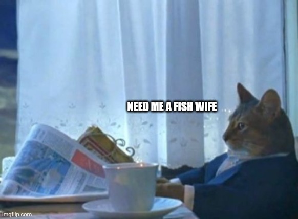 Fish wife | NEED ME A FISH WIFE | image tagged in memes,i should buy a boat cat | made w/ Imgflip meme maker