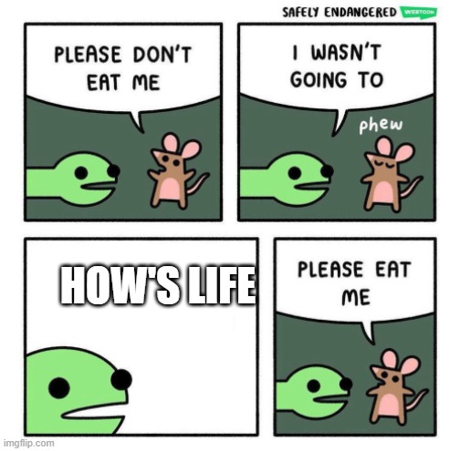 Please Eat Me | HOW'S LIFE | image tagged in please eat me | made w/ Imgflip meme maker