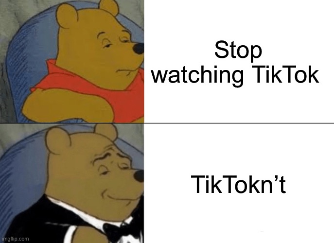 Tuxedo Winnie The Pooh | Stop watching TikTok; TikTokn’t | image tagged in memes,tuxedo winnie the pooh | made w/ Imgflip meme maker