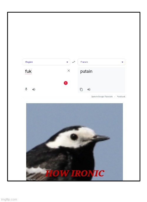 Blank Template | image tagged in blank template | made w/ Imgflip meme maker