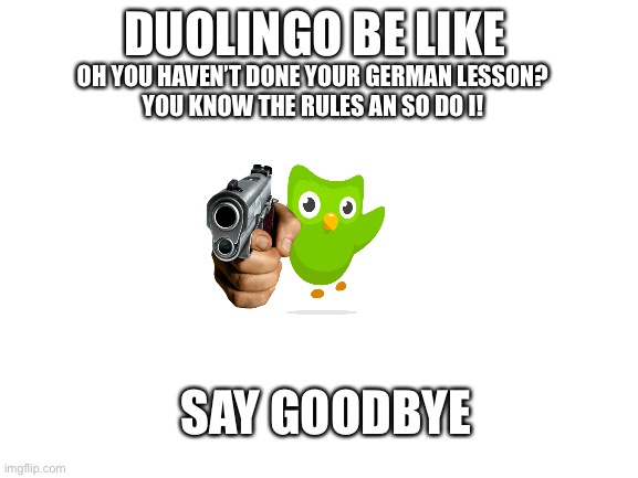 Duolingo be like | DUOLINGO BE LIKE; OH YOU HAVEN’T DONE YOUR GERMAN LESSON?
YOU KNOW THE RULES AN SO DO I! SAY GOODBYE | image tagged in blank white template | made w/ Imgflip meme maker