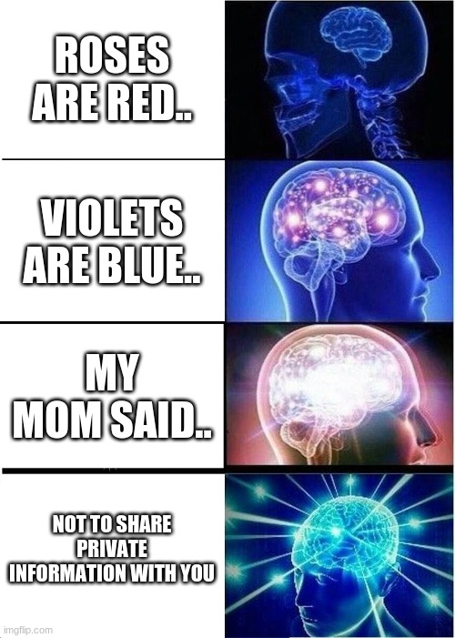 Expanding Brain | ROSES ARE RED.. VIOLETS ARE BLUE.. MY MOM SAID.. NOT TO SHARE PRIVATE INFORMATION WITH YOU | image tagged in memes,expanding brain,not aloud to share private info,mom said so,mom | made w/ Imgflip meme maker