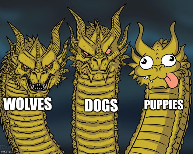 Three-headed Dragon | WOLVES; DOGS; PUPPIES | image tagged in three-headed dragon,wolves,dogs,puppies | made w/ Imgflip meme maker
