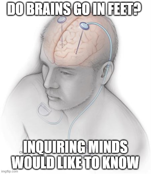 inquiring minds | DO BRAINS GO IN FEET? INQUIRING MINDS WOULD LIKE TO KNOW | image tagged in inquiring minds | made w/ Imgflip meme maker
