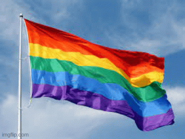 gay flag | image tagged in gifs,gay pride | made w/ Imgflip images-to-gif maker