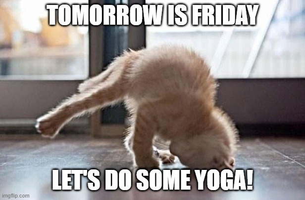 Time for some Yoga! | TOMORROW IS FRIDAY; LET'S DO SOME YOGA! | image tagged in yoga kitty | made w/ Imgflip meme maker