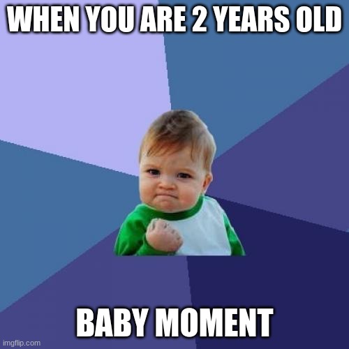 When you are 2 years old | WHEN YOU ARE 2 YEARS OLD; BABY MOMENT | image tagged in memes,success kid,funny memes | made w/ Imgflip meme maker