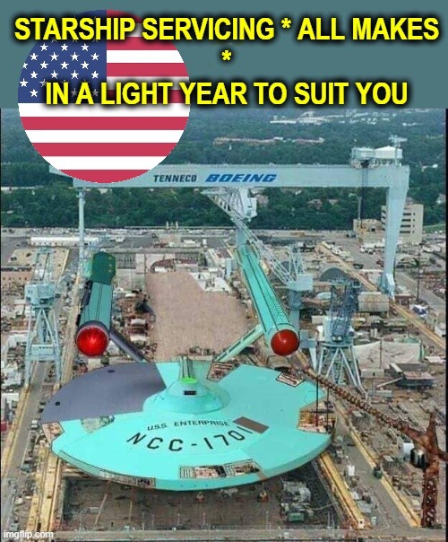 Starship Servicing 4 U | image tagged in mechanic | made w/ Imgflip meme maker