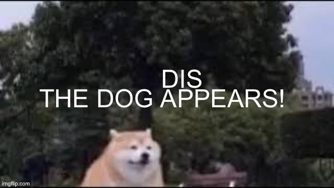 epic doggo appears | DIS | image tagged in epic doggo appears | made w/ Imgflip meme maker
