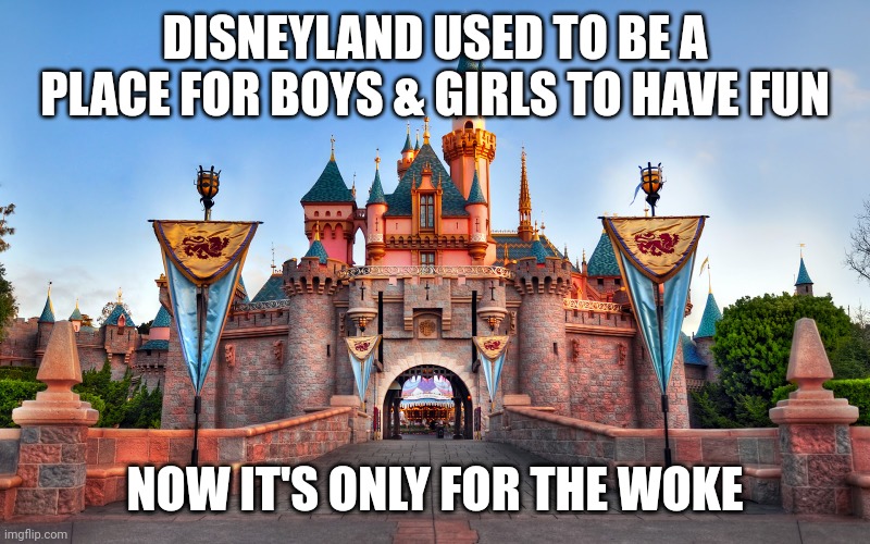 Disneyland | DISNEYLAND USED TO BE A PLACE FOR BOYS & GIRLS TO HAVE FUN; NOW IT'S ONLY FOR THE WOKE | image tagged in disneyland | made w/ Imgflip meme maker