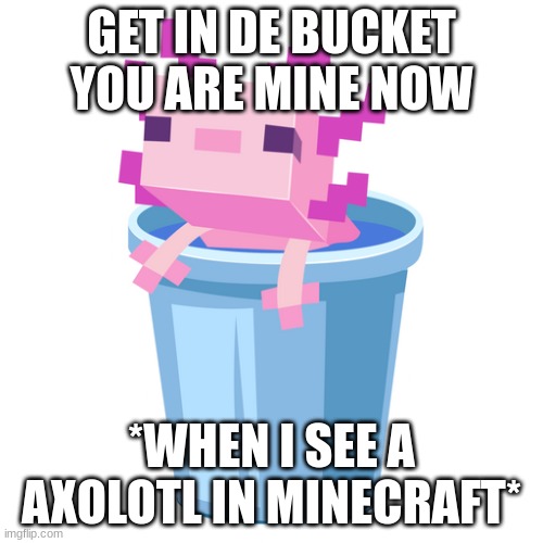 axoltl :) | GET IN DE BUCKET YOU ARE MINE NOW; *WHEN I SEE A AXOLOTL IN MINECRAFT* | image tagged in axoltl | made w/ Imgflip meme maker