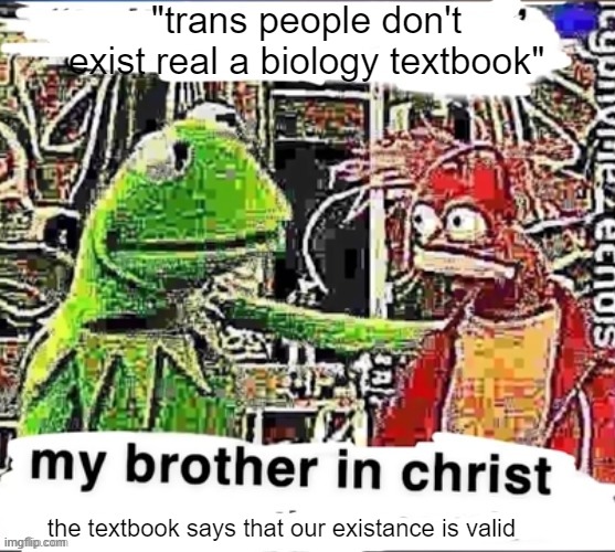 My brother in Christ | "trans people don't exist real a biology textbook"; the textbook says that our existance is valid | image tagged in my brother in christ | made w/ Imgflip meme maker