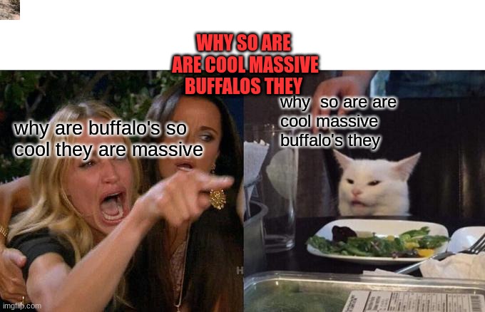 Godzila died reading this | WHY SO ARE 
ARE COOL MASSIVE
BUFFALOS THEY; why  so are are
cool massive
buffalo's they; why are buffalo's so
cool they are massive | image tagged in memes,woman yelling at cat | made w/ Imgflip meme maker