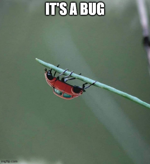 IT'S A BUG | image tagged in eye roll | made w/ Imgflip meme maker