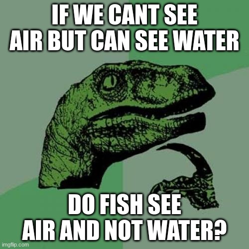 Philosoraptor Meme | IF WE CANT SEE AIR BUT CAN SEE WATER; DO FISH SEE AIR AND NOT WATER? | image tagged in memes,philosoraptor | made w/ Imgflip meme maker