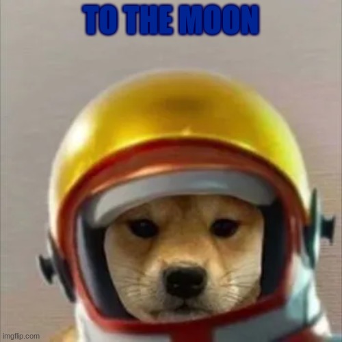 To the Moon :D | TO THE MOON | image tagged in moon | made w/ Imgflip meme maker