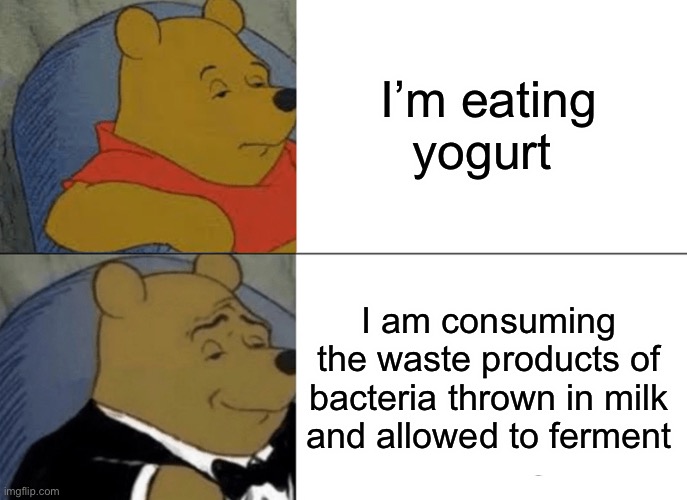This is actually what it is | I’m eating yogurt; I am consuming the waste products of bacteria thrown in milk and allowed to ferment | image tagged in memes,tuxedo winnie the pooh | made w/ Imgflip meme maker
