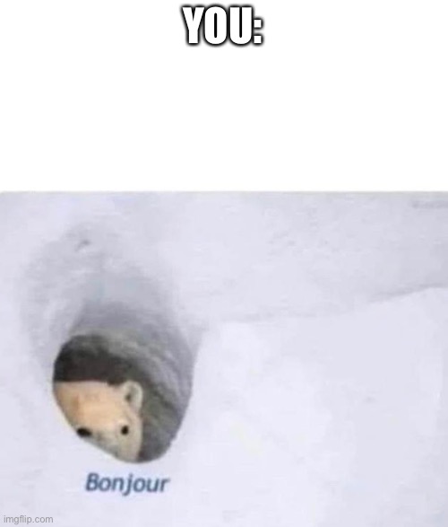 Bonjour | YOU: | image tagged in bonjour | made w/ Imgflip meme maker